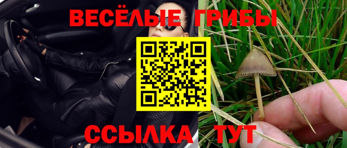 Псилоцибиновые грибы Cubensis  Вход с VPN  хочу   Елец 
